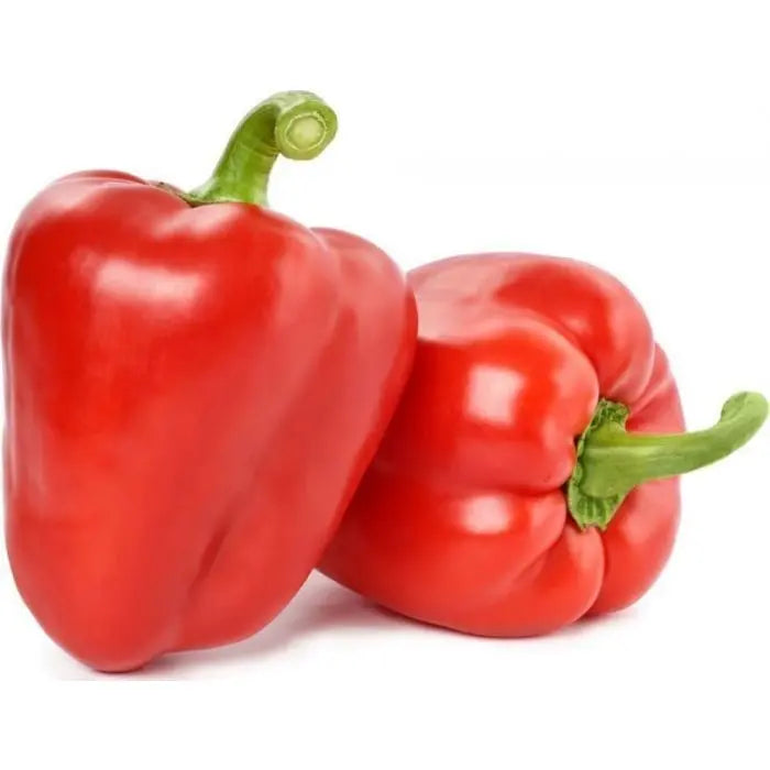 Fresh Peppers (Red Bell Pepper) Red Capsicum.