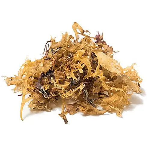 Irish Moss (Organic Seaweed) 80g
