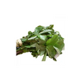 Fresh Oha Leaves x 1 bunch