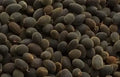 TAMARIND ICHEKU AWIN 100G