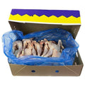 JOLLY HARD CHICKEN 10KG